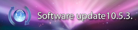 Leopard update 10.5.3